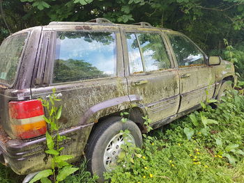 Abandoned truck on tree