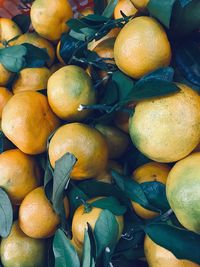 Full frame shot of fruits for sale at market stall