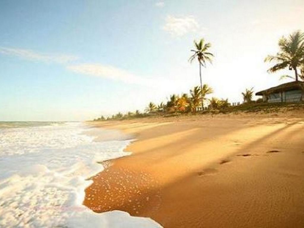 beach, sea, sand, palm tree, shore, water, horizon over water, sky, tranquil scene, tranquility, scenics, tree, beauty in nature, nature, wave, coastline, idyllic, vacations, sunlight, outdoors