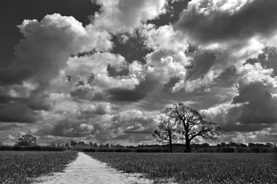 Scenic view of landscape against cloudy sky