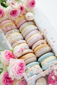 Colorful macaroons in a gift box and roses