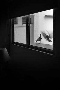 View of cat against sky