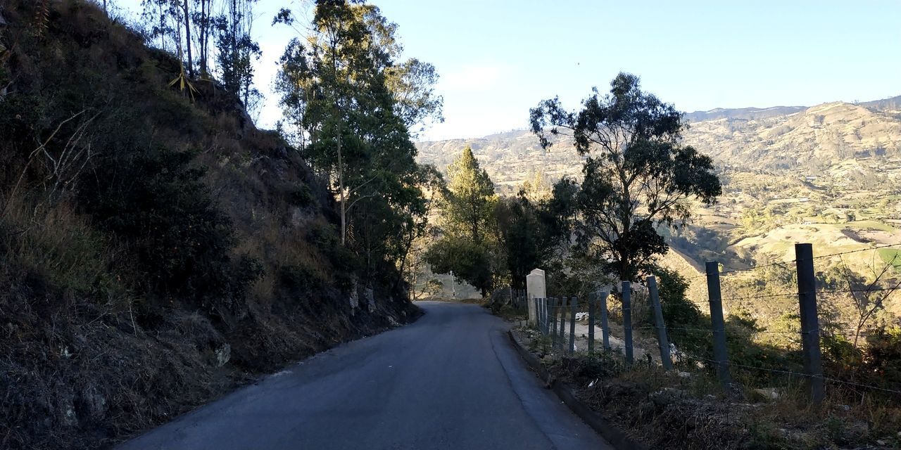 EMPTY ROAD AMIDST TREES AND PLANTS AGAINST SKY