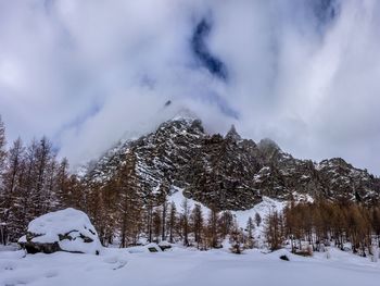 Snow covered land and trees against sky