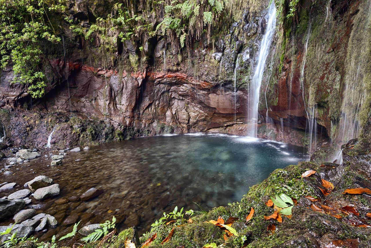 WATERFALL IN FOREST