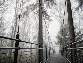 Footbridge amidst trees against sky