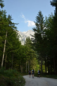 People walking on mountain in forest against sky