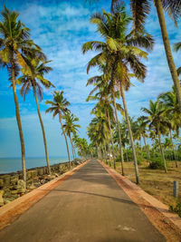 Palm trees on beach against sky