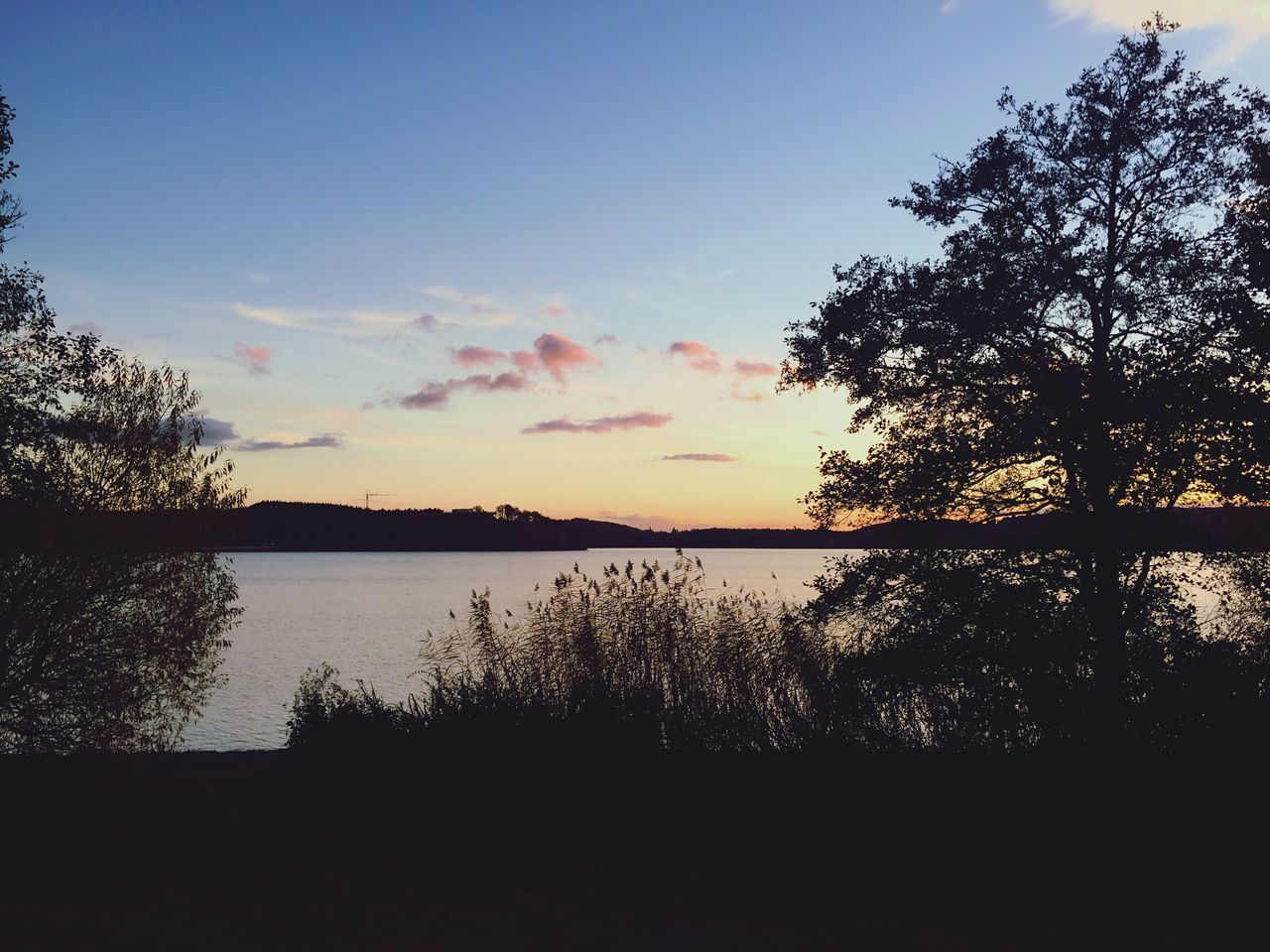 reflection, sunset, water, nature, sky, tree, beauty in nature, lake, tranquility, scenics, idyllic, no people, silhouette, tranquil scene, outdoors, growth, day