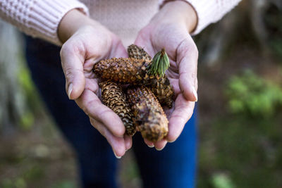 Midsection of woman holding pine cones while standing on field