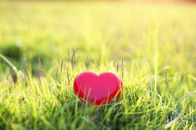 Close-up of heart shape on grass