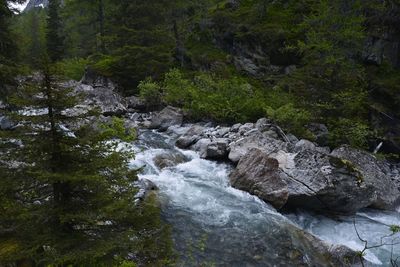 Scenic view of waterfall