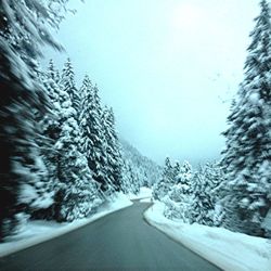 Snow covered road passing through forest