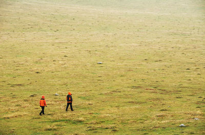 Rear view of men walking on field