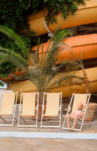 High angle view of palm trees