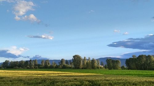 Scenic view of landscape against cloudy sky