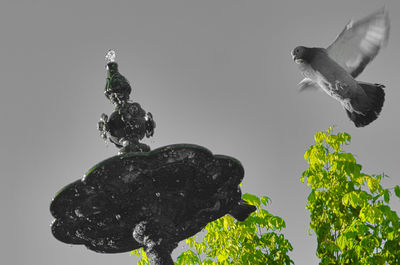 Low angle view of birds flying against sky