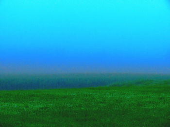 Scenic view of field against clear sky