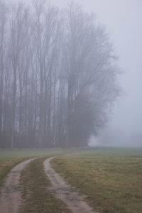 Road amidst trees on field against sky