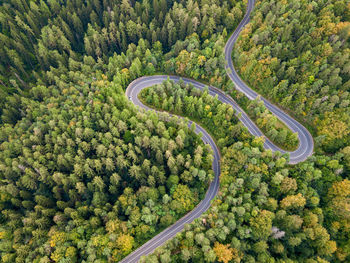 High angle view of road amidst trees in forest