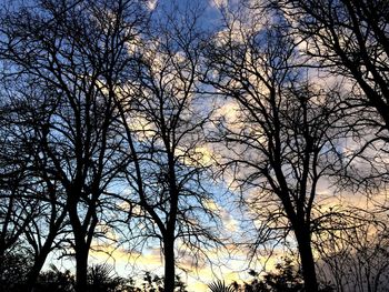 Low angle view of silhouette trees against sky