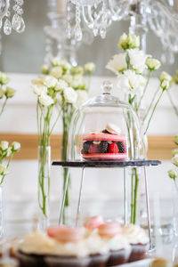 Close-up of food on table