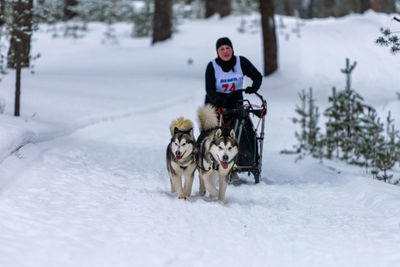 Full length of a dog on snow