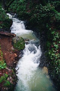 Scenic view of waterfall in forest