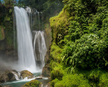 Scenic view of waterfall