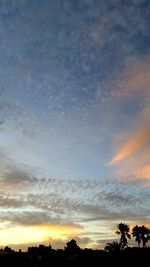 Low angle view of silhouette trees against sky during sunset