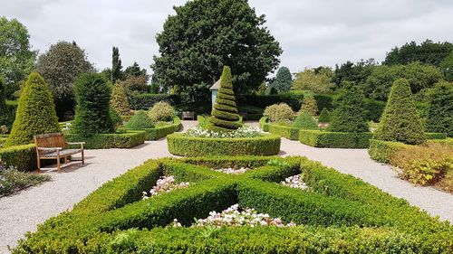 Plants in garden against sky in park