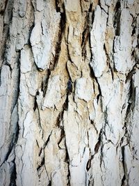 Full frame shot of cracked