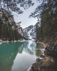 Scenic view of lake by trees against sky