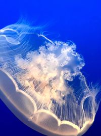 Aerial view of sea underwater