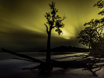 Scenic view of trees against sky at sunset