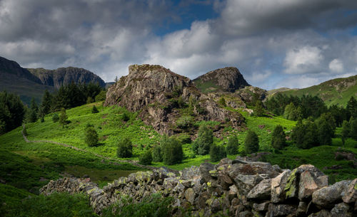 A view of a traditional stone wall leads down to a small rocky outcrop on blea moss near to blea tarn