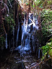 Waterfall amidst trees in forest