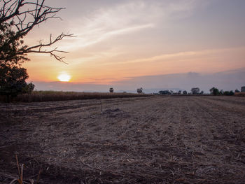 Scenic view of field against sky during sunset