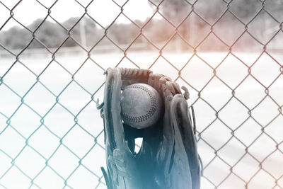 Close-up of baseball in glove against chainlink fence