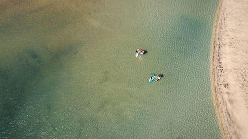 Aerial view of people windsurfing on sea