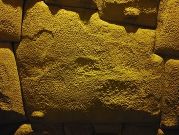 Close-up of yellow statue