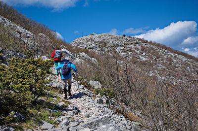 Rear view of man walking on mountain