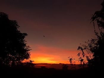 Silhouette tree against sky during sunset