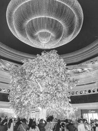 Low angle view of illuminated chandelier hanging on ceiling