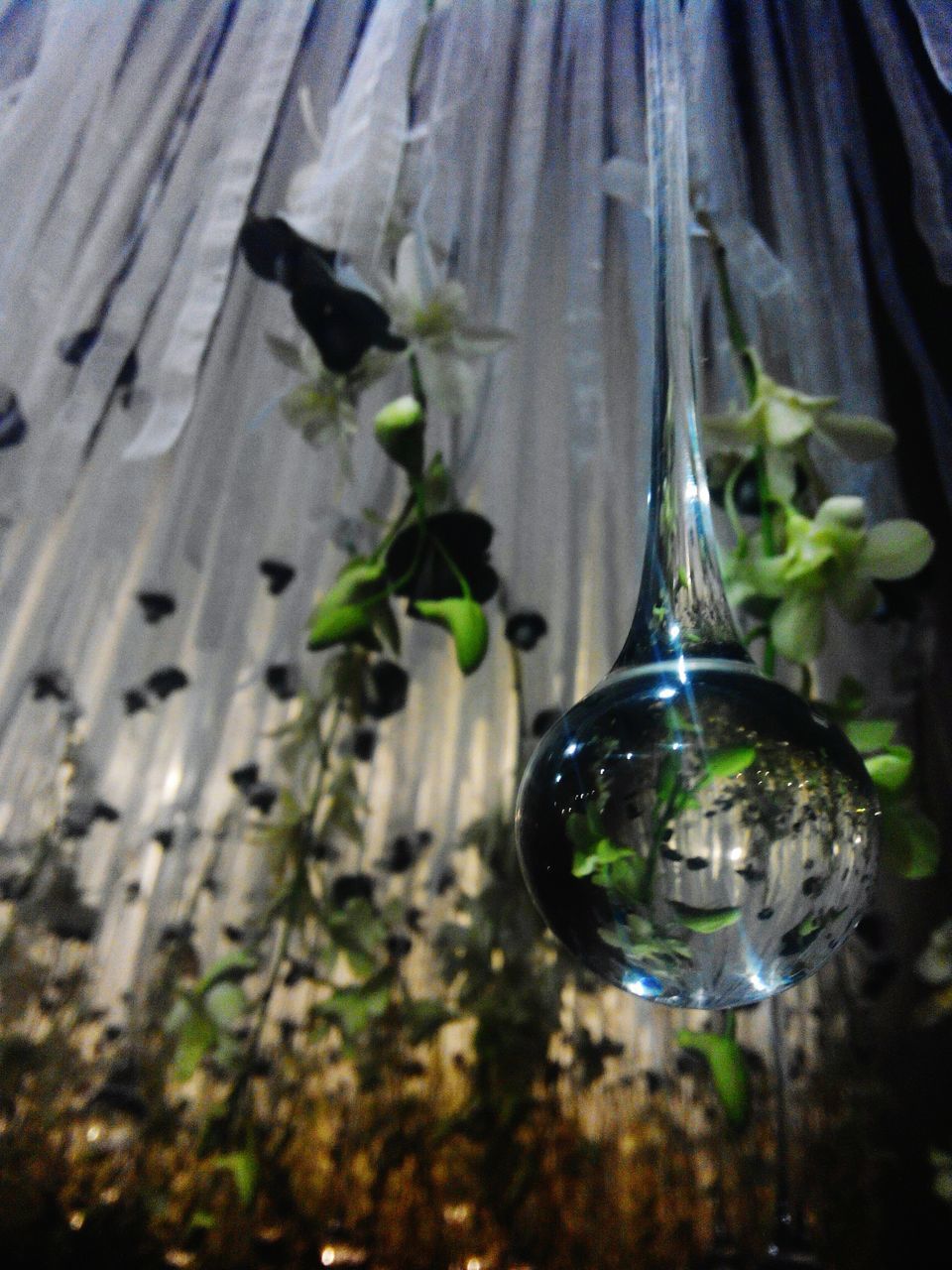 glass - material, transparent, fragility, close-up, water, flower, indoors, focus on foreground, freshness, reflection, selective focus, growth, plant, nature, no people, purity, vase, table, drinking glass, stem