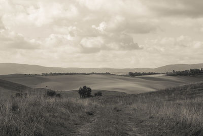 Scenic view of landscape against sky
