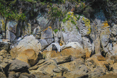 Close-up of rock formation on land