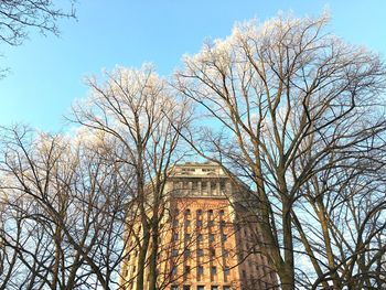 Low angle view of bare tree against clear blue sky