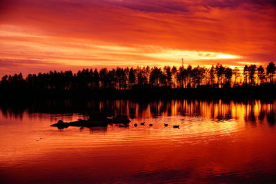 Silhouette trees by lake against orange sky