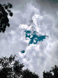 Low angle view of tree against sky